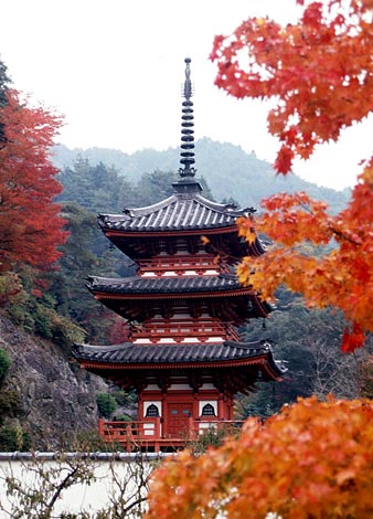 Sanjunoto pagoda at Mimurotoji